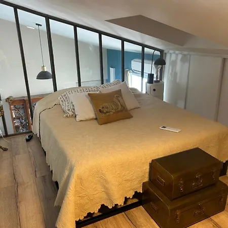 Arenes Privilege * Nîmes